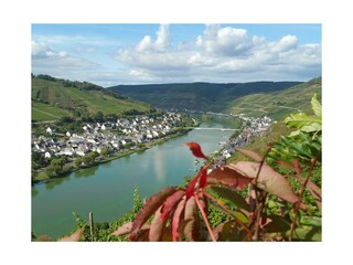 Holiday apartment Zell Mosel Environment 31