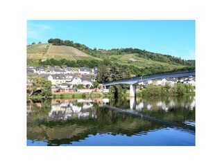 Holiday apartment Zell Mosel Environment 32