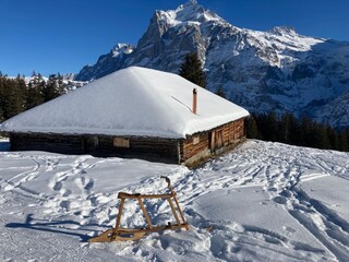 Auf der Schlittelpiste im First-Gebiet mit Wetterhorn