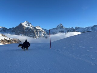 Schlitteln im Firstgebiet