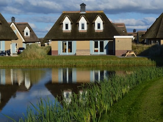 Kleine See am Hintergarten