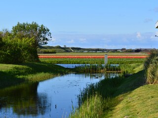 Appartamento per vacanze Julianadorp Registrazione all'aperto 5