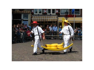 Ferienwohnung Julianadorp Umgebung 20