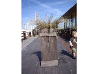 Ferienwohnung Julianadorp Umgebung 23