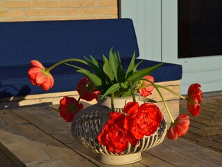 Holiday apartment Julianadorp Outdoor Recording 8