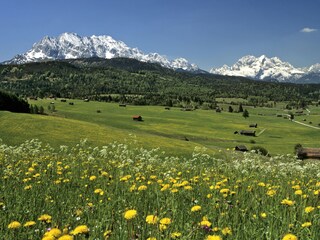 Sommerwiesen