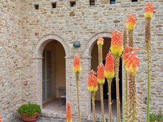 Villa Piandimeleto Registrazione all'aperto 2