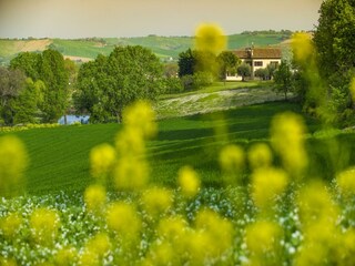 Vakantiehuis Marotta-Mondolfo  29