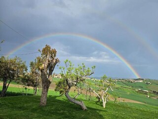 Casa per le vacanze Marotta-Mondolfo Ambiente 24