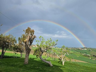 Casa per le vacanze Marotta-Mondolfo Ambiente 31