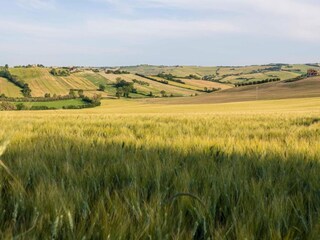 Maison de vacances Marotta-Mondolfo Environnement 24