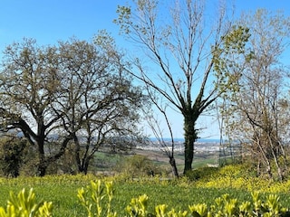 Holiday house Marotta-Mondolfo Environment 17