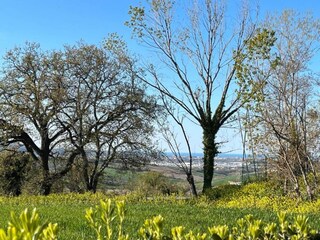 Holiday house Marotta-Mondolfo Environment 25
