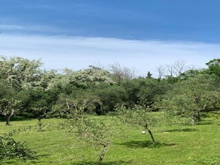 Casa per le vacanze Marotta-Mondolfo Ambiente 27