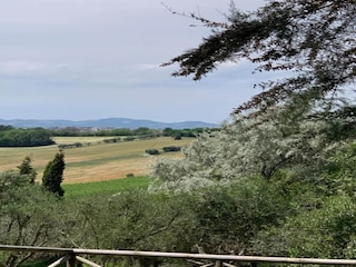 Casa per le vacanze Marotta-Mondolfo Ambiente 34