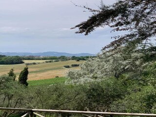 Vakantiehuis Marotta-Mondolfo Omgeving 24