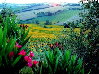 Casa per le vacanze Marotta-Mondolfo Ambiente 25