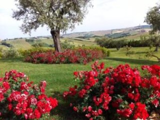 Maison de vacances Marotta-Mondolfo Environnement 34