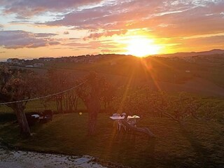 Holiday house Marotta-Mondolfo Environment 24