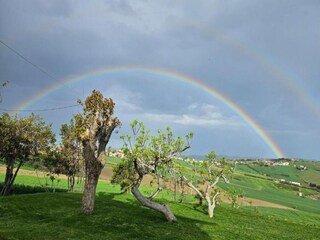 Casa per le vacanze Marotta-Mondolfo Ambiente 20