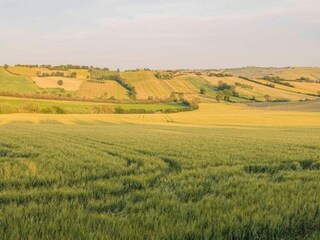 Casa de vacaciones Marotta-Mondolfo Entorno 27