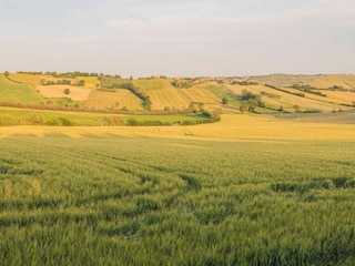 Holiday house Marotta-Mondolfo Environment 27