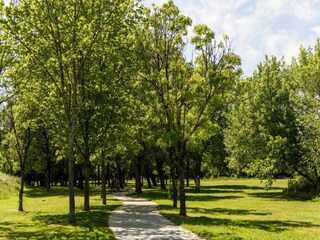 Vakantiehuis Pouillon Omgeving 32