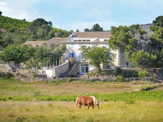 Apartment Durban-Corbières Außenaufnahme 3
