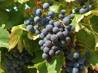 Appartamento Durban-Corbières  38