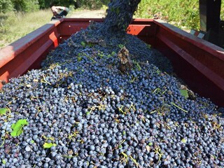 Apartamento Durban-Corbières  36