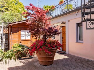 Type de propriété : Chalet Oggebbio Enregistrement extérieur 10