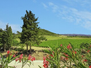 Apartamento Durban-Corbières Entorno 24