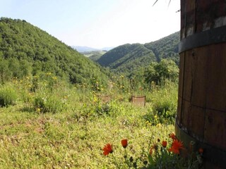 Vakantiehuis Santa Maria Dell'arzilla Omgeving 34