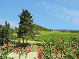 Apartment Durban-Corbières Außenaufnahme 5