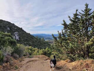 Apartamento Durban-Corbières Entorno 35