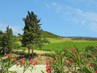 Apartamento Durban-Corbières Entorno 36