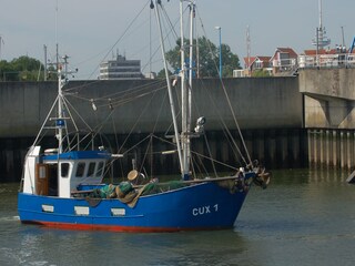 Kutter