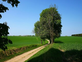 Das Müritzer Umland für herrliche Touren mit dem Rad