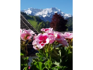 Appartement de vacances Garmisch-Partenkirchen Enregistrement extérieur 12