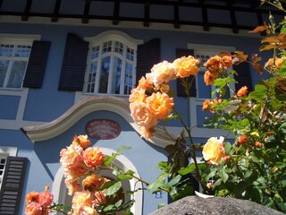 Holiday apartment Garmisch-Partenkirchen Outdoor Recording 4