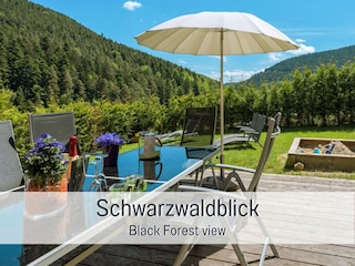 Wellness Ferienhaus Fronwald Black Forest  view