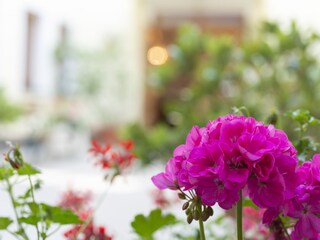 Apartamento Ottakring Grabación al aire libre 3