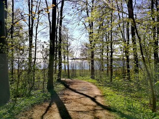 Wald am Strand Neustadt
