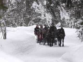 Appartamento per vacanze Leogang Ambiente 39