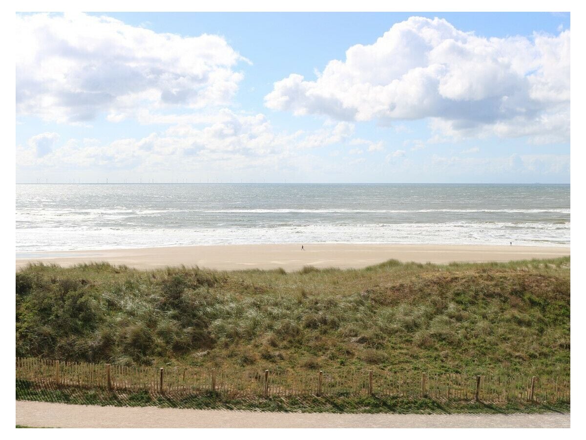 Ferienwohnung Egmond aan Zee Außenaufnahme 12