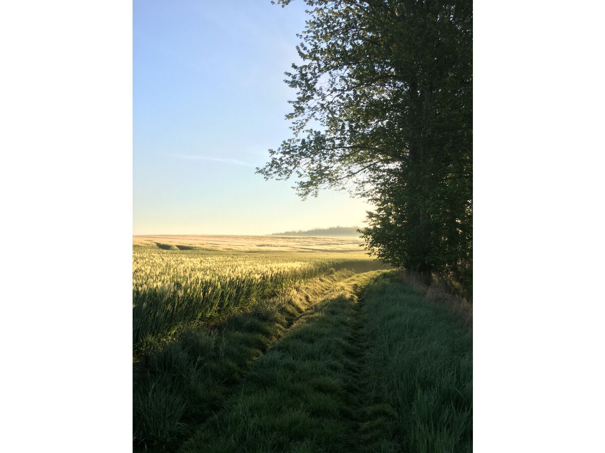 Auf einem Wanderweg am See