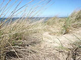 Appartamento per vacanze Julianadorp Ambiente 27