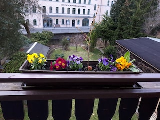 Blick auf das Haus der deutschen Kunstblume