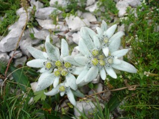 Appartamento Wolkenstein in Gröden Ambiente 38