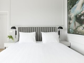 Villa Tinjan Caratteristiche 21